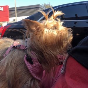 Meet your Posher, Crystal